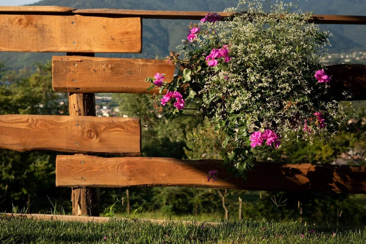 Agriturismo Riva Dei Coz Sequsino Bauernhof