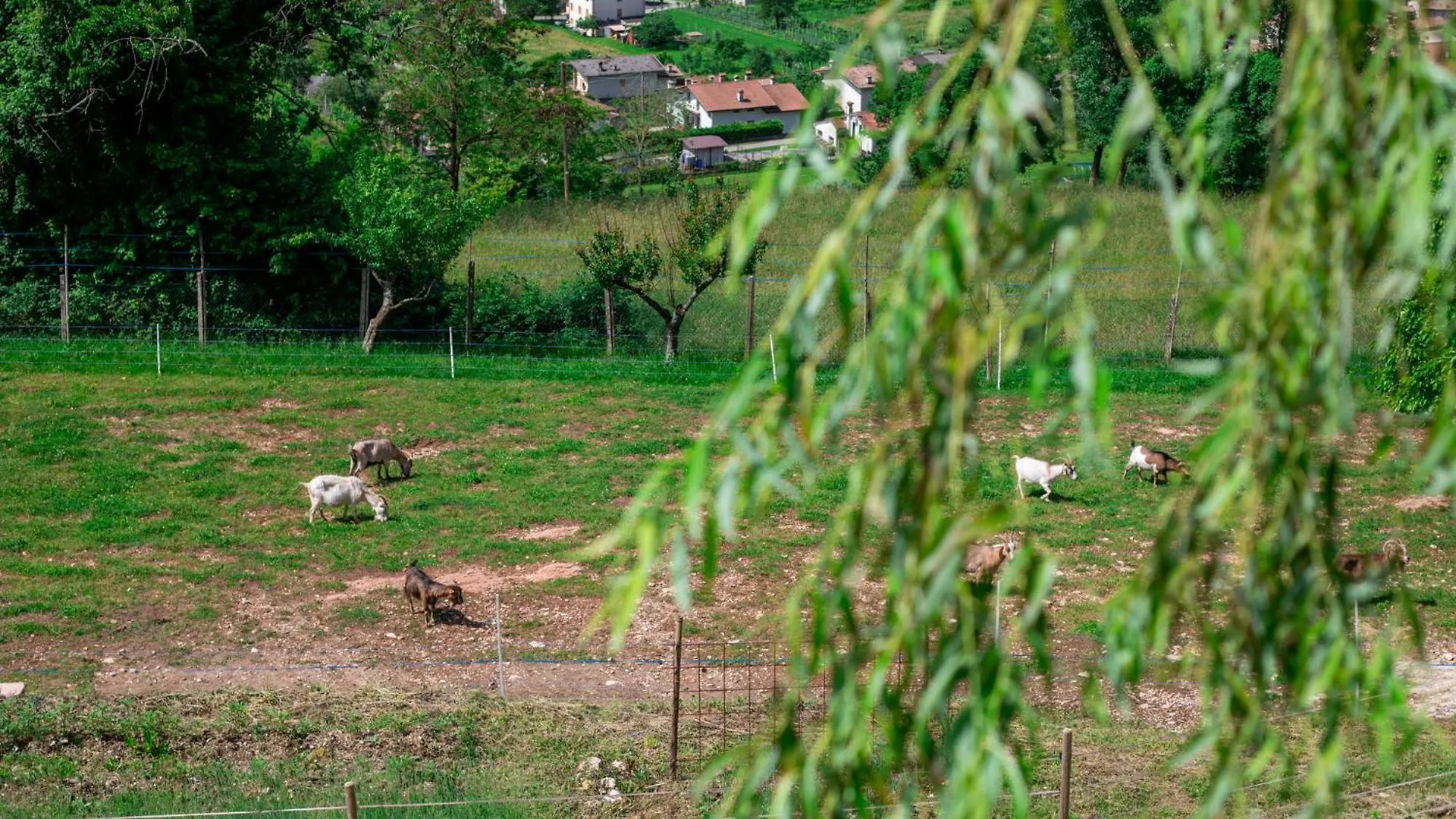 Agriturismo Riva Dei Coz Sequsino 0*,